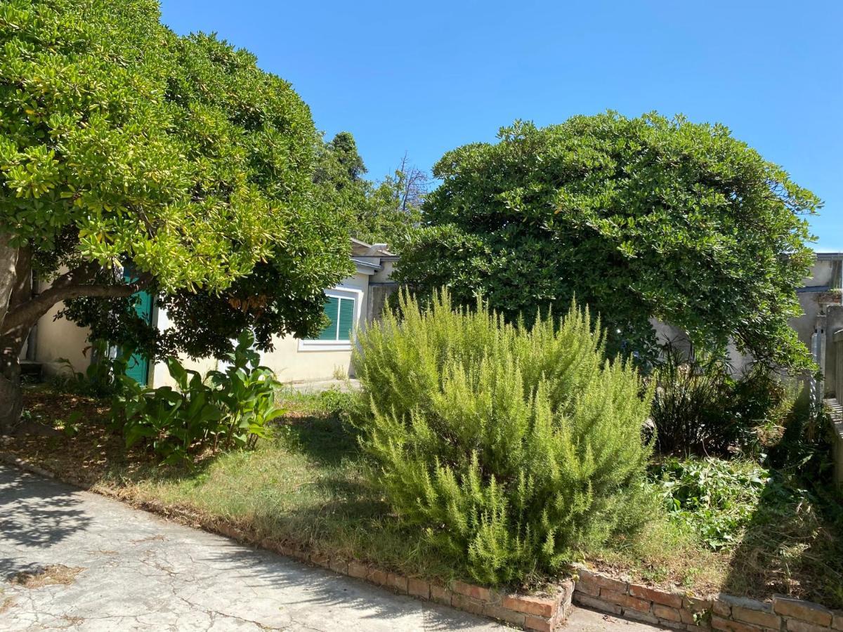 Ferienwohnung Zadar-City Екстер'єр фото