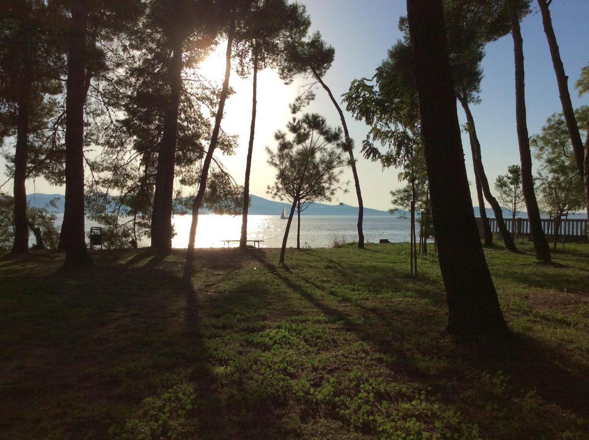 Ferienwohnung Zadar-City Екстер'єр фото